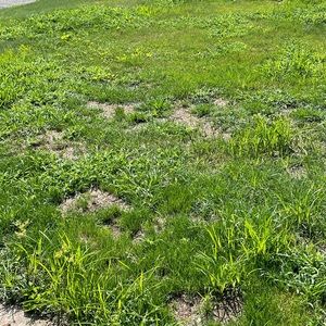 Meet your Posher, Windy